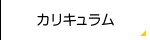 カリキュラム