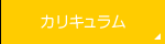 カリキュラム