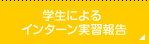 学生によるインターン実習報告