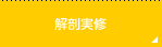 解剖実修